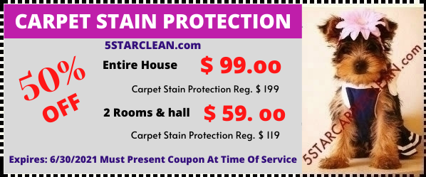 Carpet Stain Special