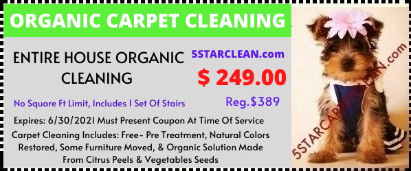 Organic Carpet Special
