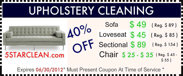 Upholstery Cleaning Special