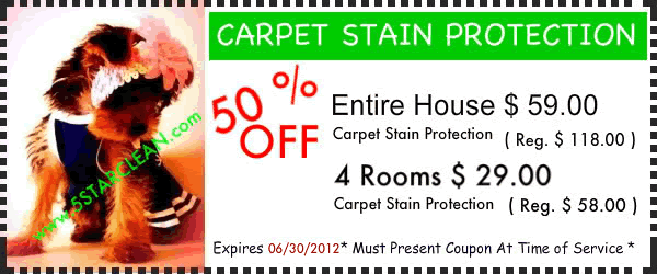 Carpet Stain Special
