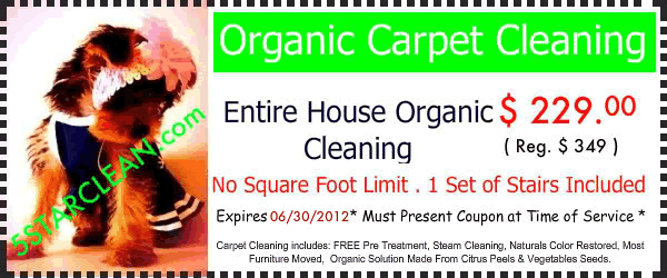 Organic Carpet Special