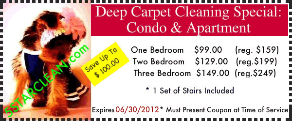 Deep Clean Special