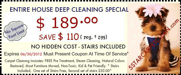 Entire House Deep Clean Special