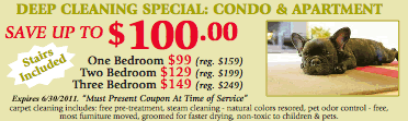 Deep Clean Specials