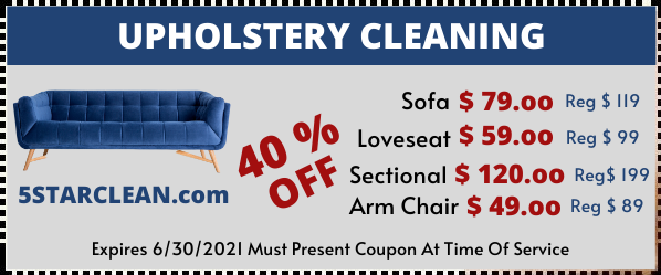 Upholstery Cleaning Special